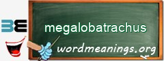 WordMeaning blackboard for megalobatrachus